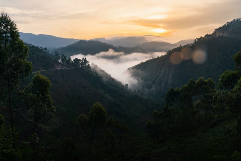 alt="breathtaking photo of the mountains of Bwindi at sunrise"