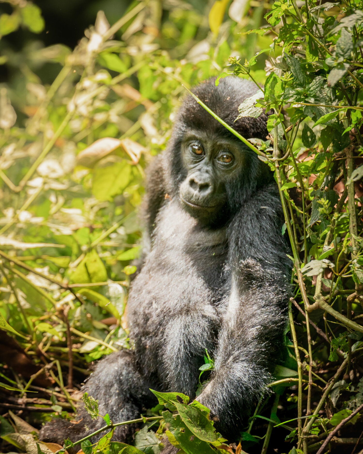 Unleash Your Inner Explorer: Things To Do In Birmingham This Weekend! - mvkmqks